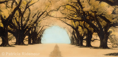 Patricia Ridenour_Oak Alley_The South